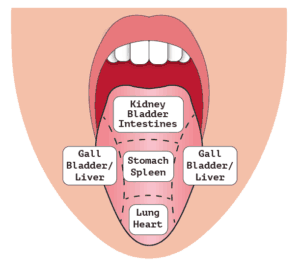 Tongue Tied 